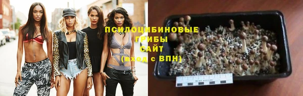 амф Нея