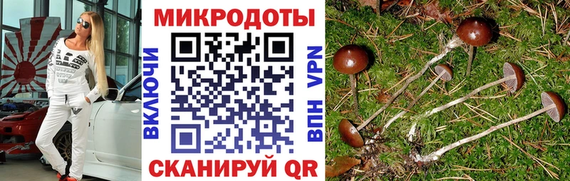 купить наркотик  блэк спрут   Псилоцибиновые грибы MAGIC MUSHROOMS  Касимов 