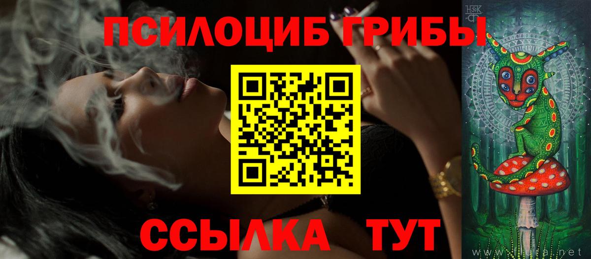 Псилоцибиновые грибы Magic Shrooms Касимов